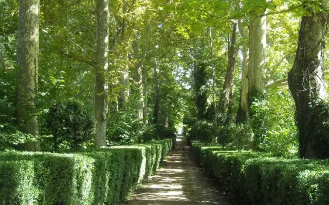 Villa Dei Platani