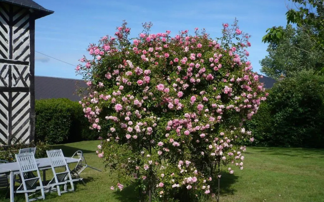 Manoir du Poirier de Chio