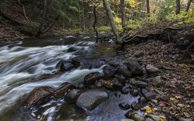 Rippling River Resort
