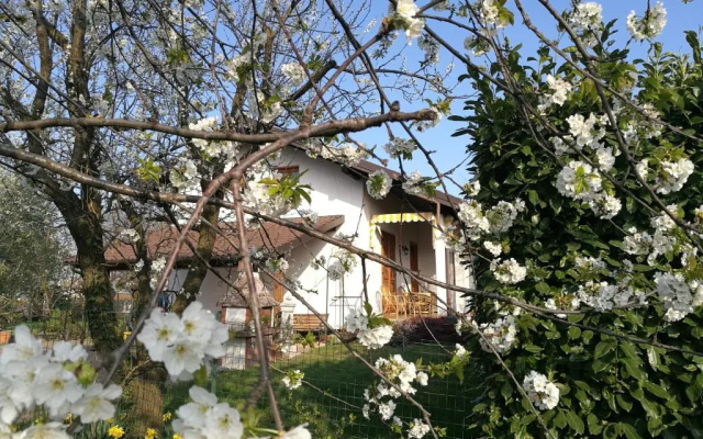 Ollasio18