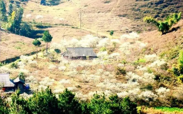 Hua Tat Stilt House