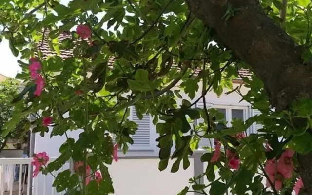 Beautiful apartment Brby near sandy beach