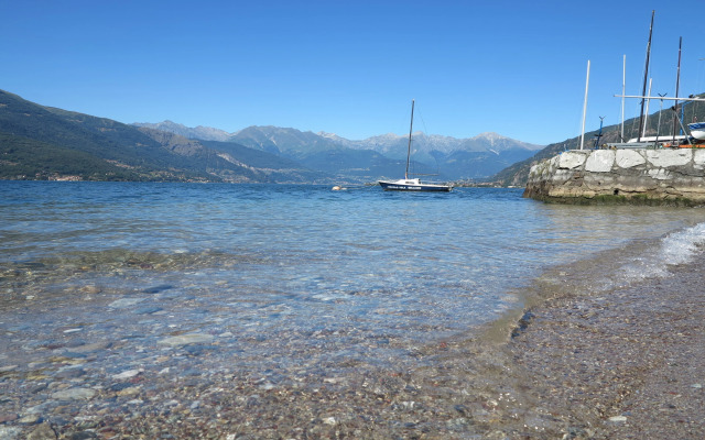 Riva Bellano Camelia 1