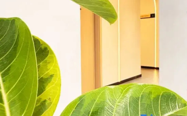 Kaiman Elegant Residence Hotel (Beijing Anzhen Hospital Anzhenmen Subway Station)