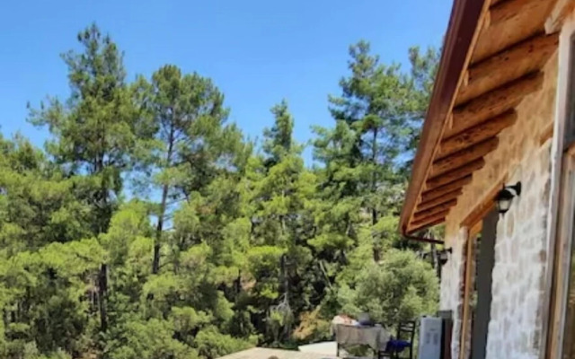 Частный дом Olympos Stone House