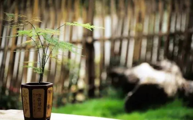 Yangshuo Huajian Homestay (Guilin Qianguqing Branch)