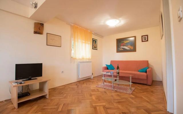 Apartment Visnja