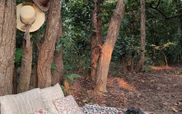 Saccharum Safari Lodge