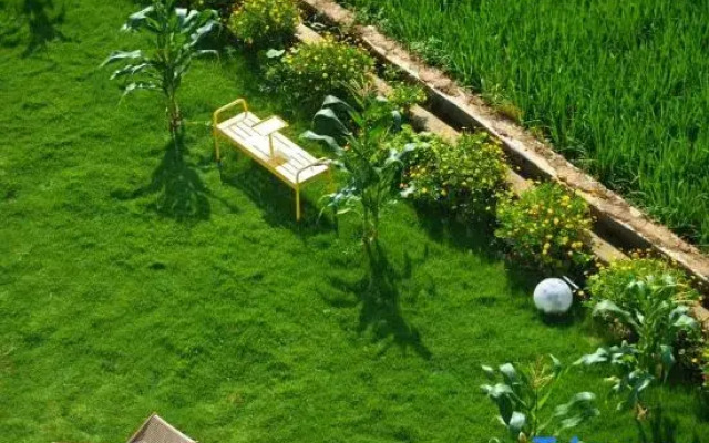 wuyuewanli homestay