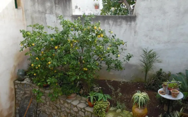 Casa rustica Arta
