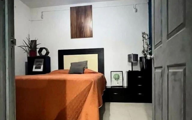Suites Bugambilias Rooms Primavera Bosque
