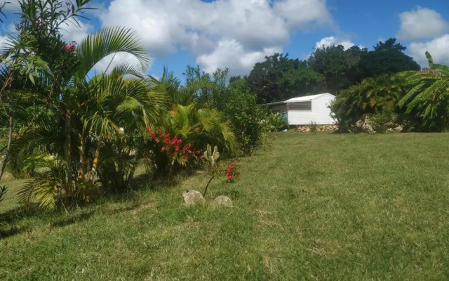 Vanille Et Vahine Fr2pf8al