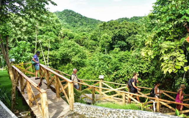Ecohotel Yachay Tayrona