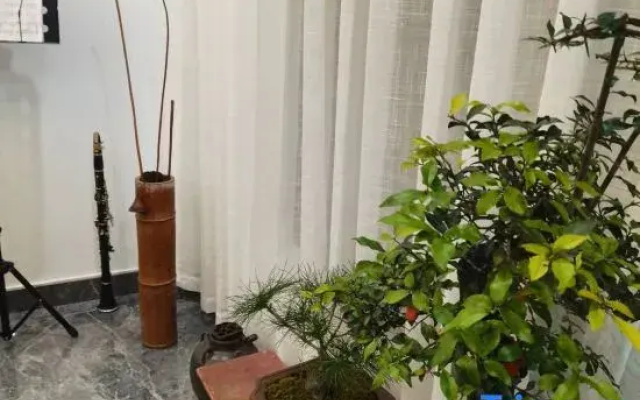 Jinyunxin Guitianyuan Homestay