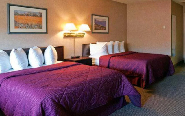 Econo Lodge Inn & Suites