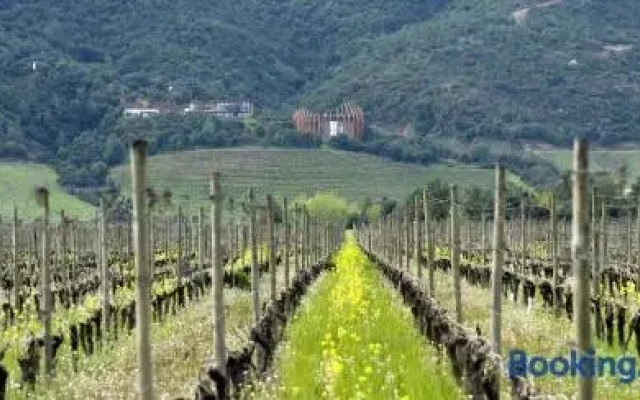 Clos Apalta Residence Relais & Chateaux