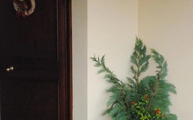 Gli Oleandri di Belfiore