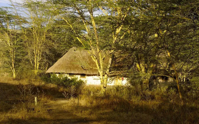 Kigio Wildlife Camp