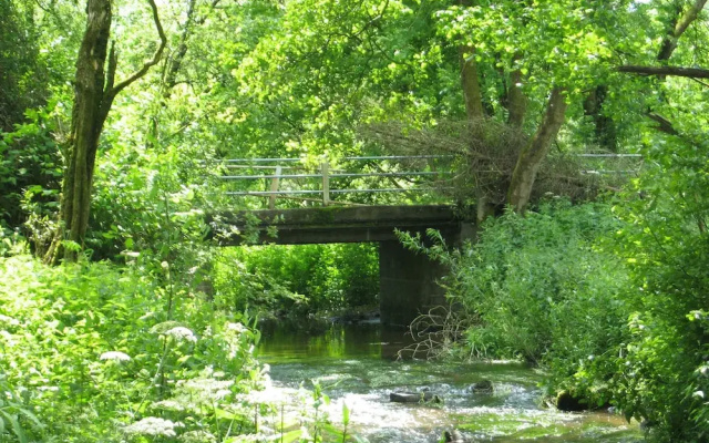 Nature Retreat in Waimes