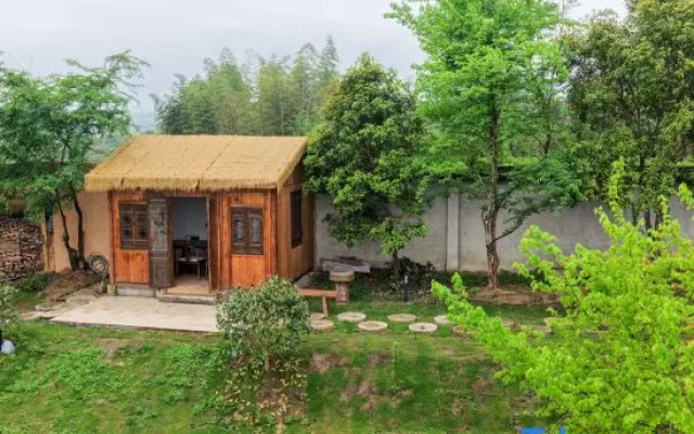 Green Fairy Camphor Resort Homestay