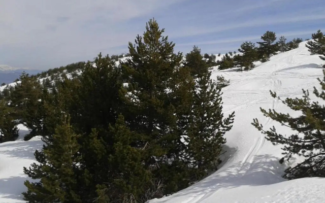 Apartment Face Aux Pistes