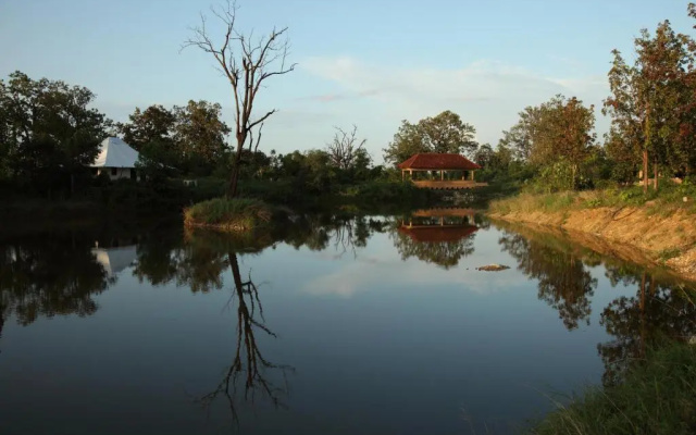 Tuli Tiger Corridor