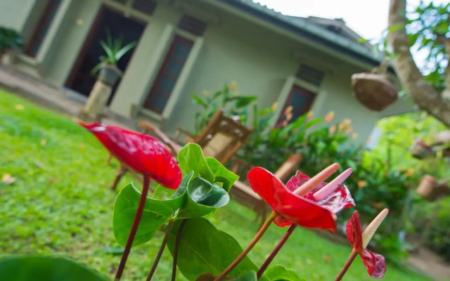 Deniyawatta Bungalow