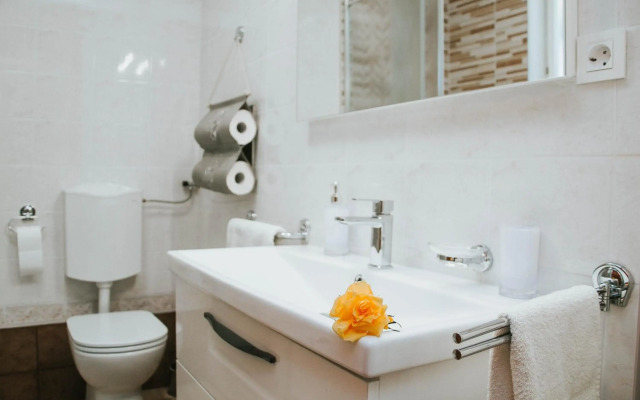 Apartment Bor