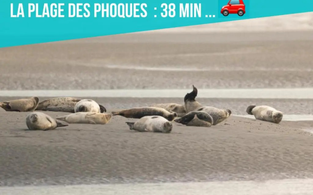 Les Penates de Camiers