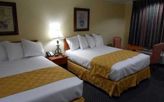 Best Inn & Suites