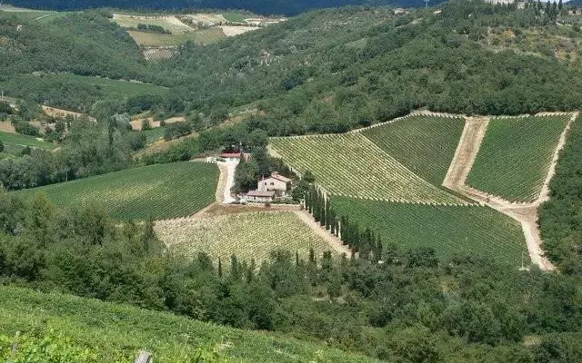 Le Miccine