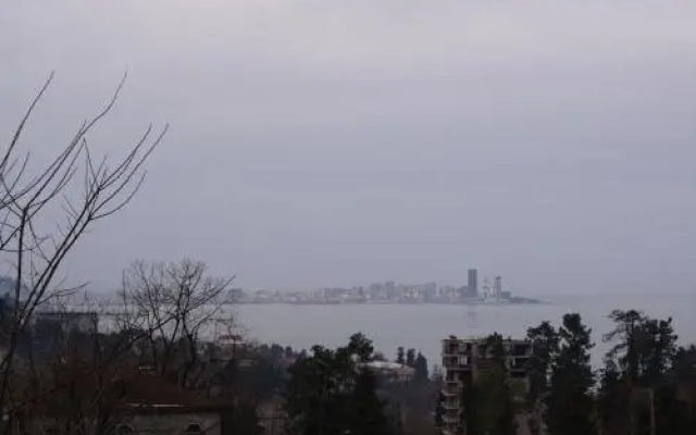 Olesya Guesthouse