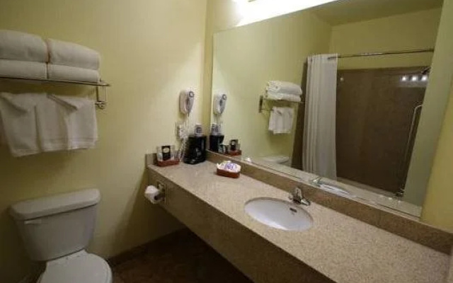 Mountain Inn & Suites Airport - Hendersonville