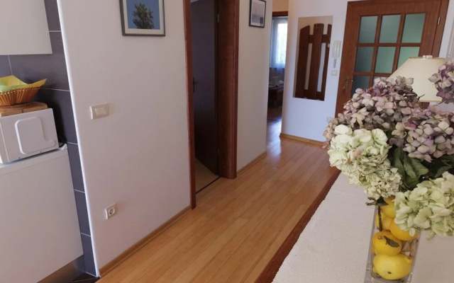 Apartment 2 Biba 4 1