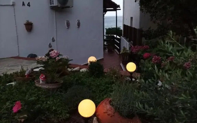 Alisaxni Seaside Studio