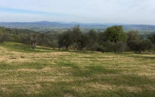 B&B Giuncaia17