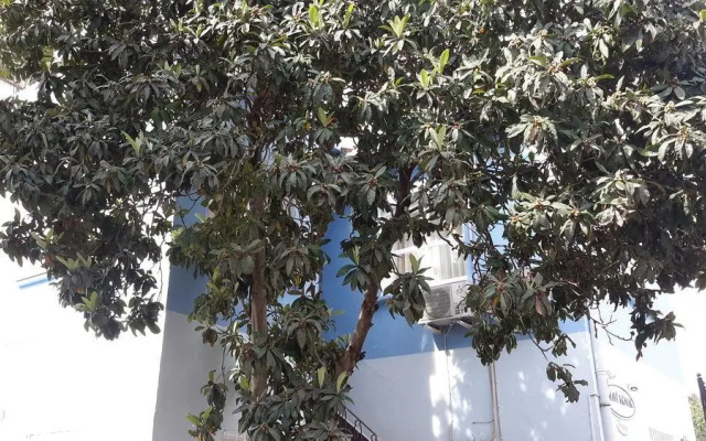 Guesthouse Mavi Konak