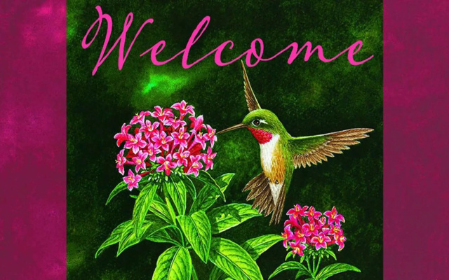 Hummingbird Retreat - Luxury Oceanview Apt, 7-Minute Walk to Beach