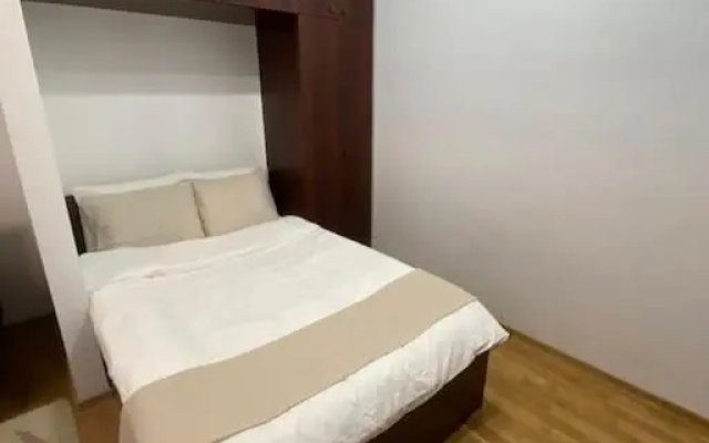 Ultracentral Studio Apartment in Victory Square