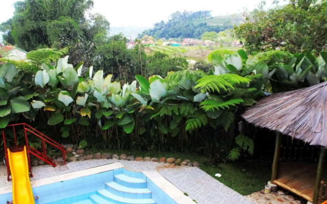 Albis Hotel