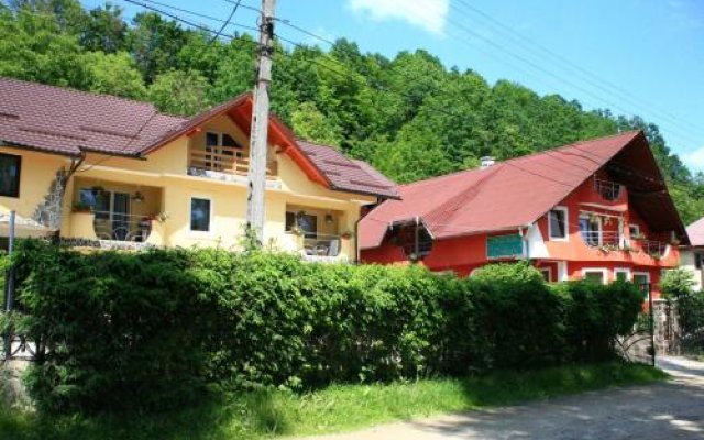 Pensiunea Marinela in Sighetu Marmatiei, Romania from 53$, photos, reviews - zenhotels.com hotel front