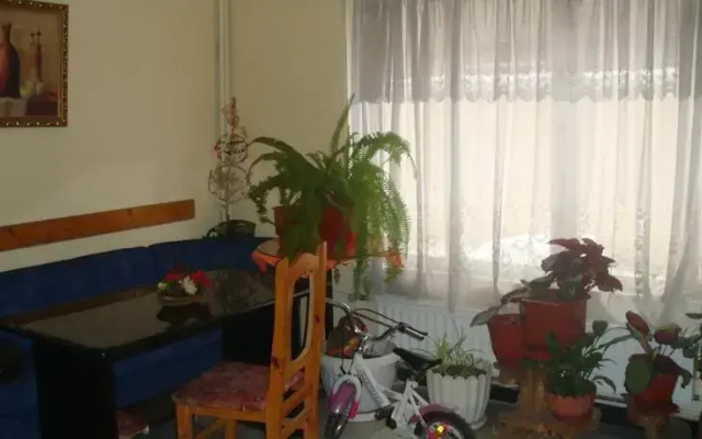 Hotel Detelina