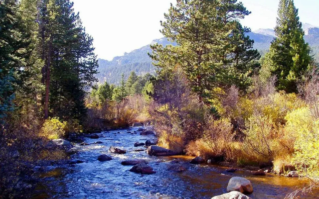 Mountain Masterpiece by Rocky Mountain Resorts