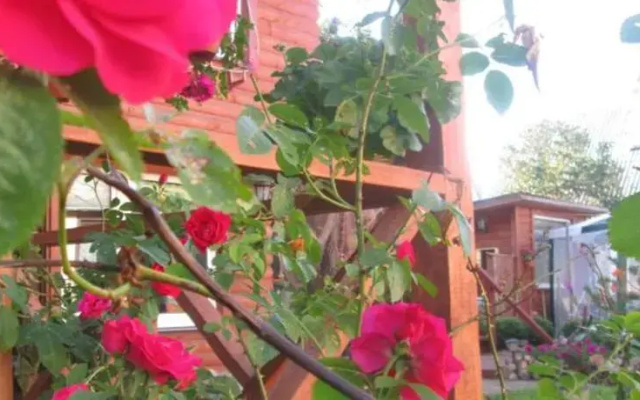 Kambariai ir liuksas Palangoje