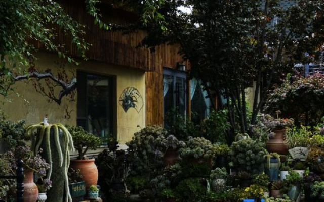 Nalati Yunzhunyue Homestay (Nalati Grassland Branch)