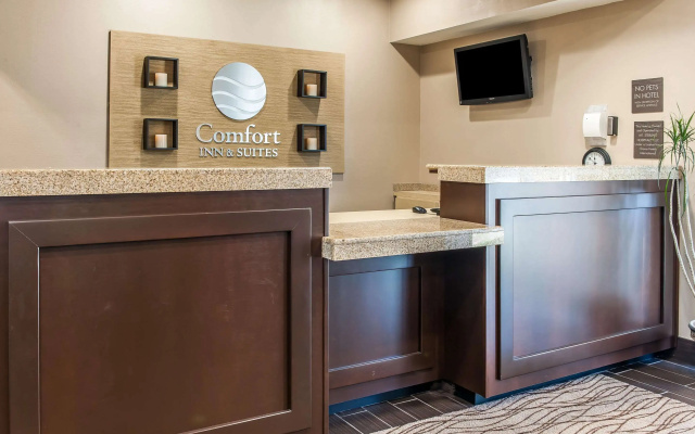 Comfort Inn & Suites Mount Sterling