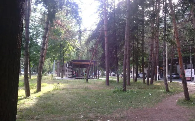 Guest House Borjomi