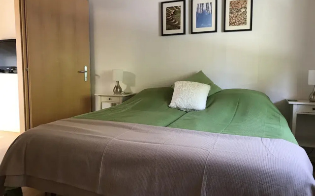 Authentic Apartment With Mountain View