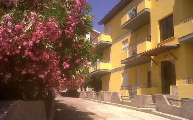 Girasole Sul mare