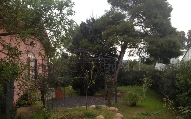 La Contea